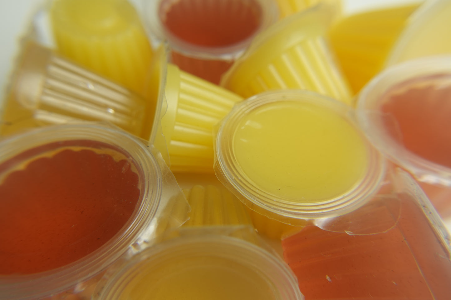 Jelly Food - żelki dla mrówek