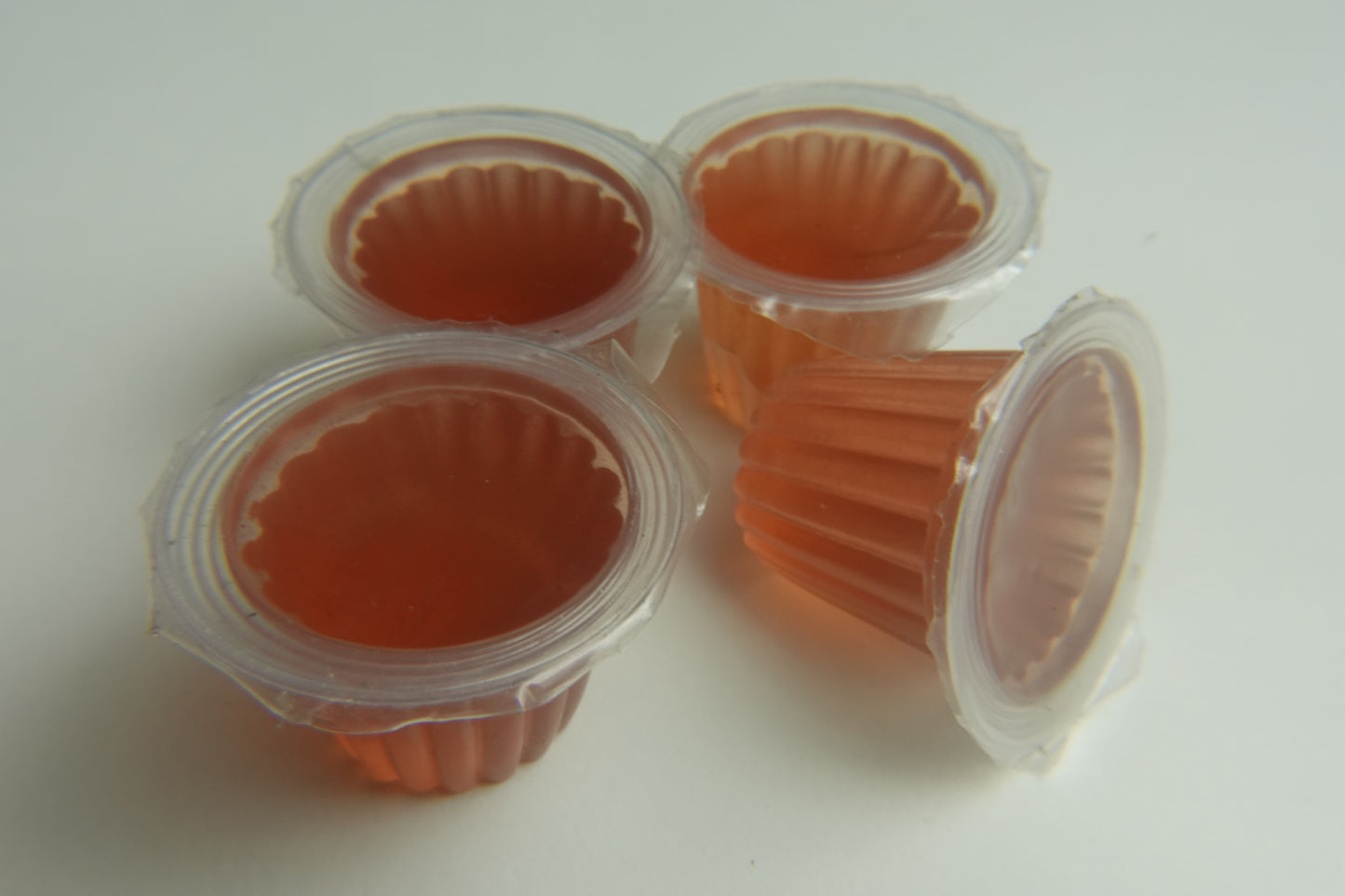 Jelly Food - żelki dla mrówek