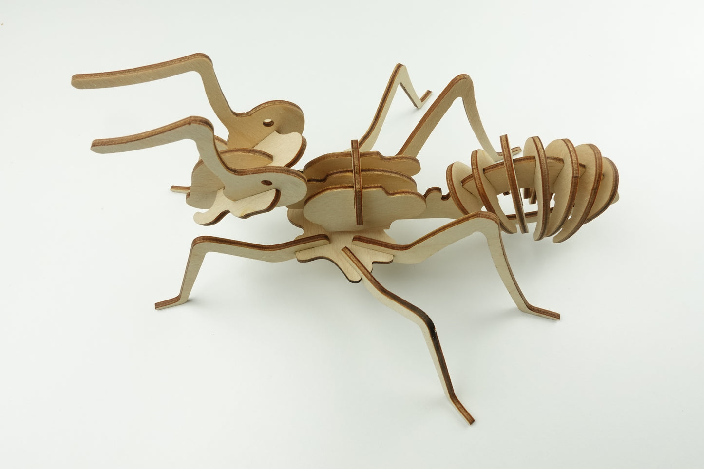 Puzzle 3d mrówka
