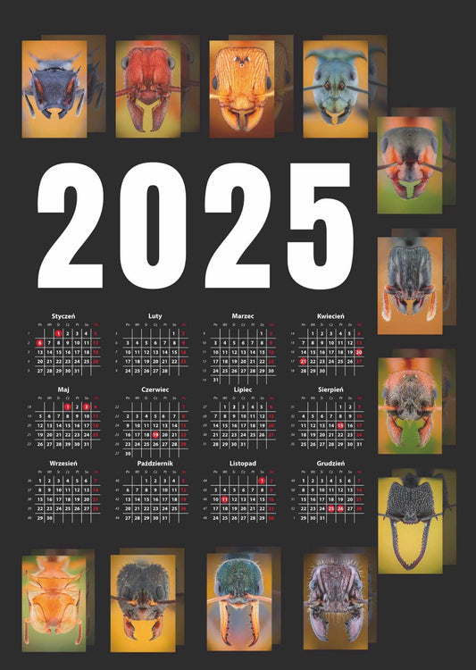 Mrówczy kalendarz 2025
