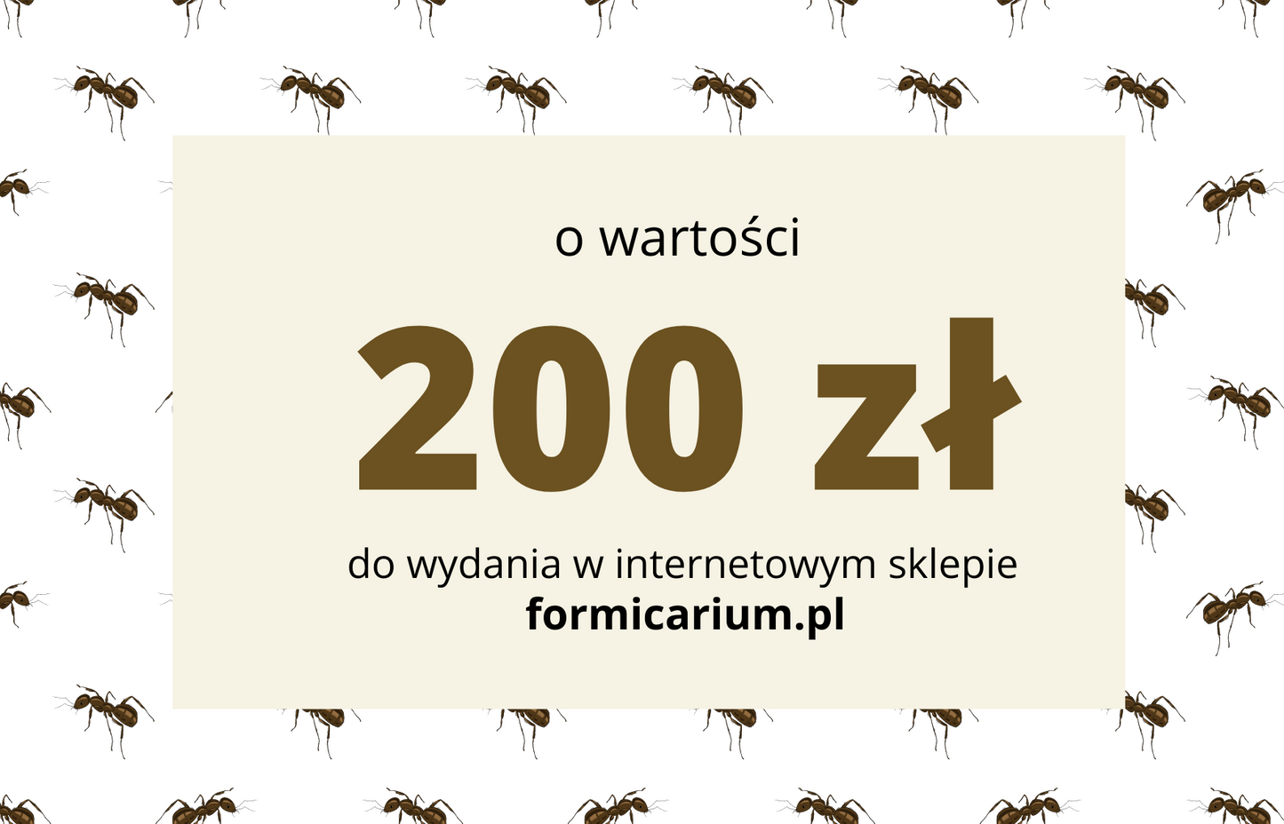 Karta prezentowa do formicarium.pl